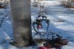 В Барановичах неизвестные андалы сожгли венок вохле Креста сталинских жертв