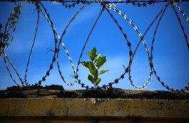 Жаляпаў — 12 сутак, Бабін — 7 сутак