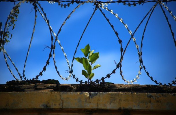 Жаляпаў — 12 сутак, Бабін — 7 сутак