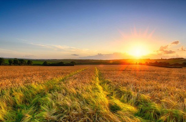 Движение «За Свободу» предлагает разрешить оборот земли