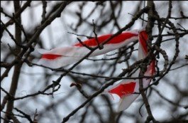 Брестчанам напомнили о национальных символах