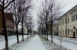 Амелькович: власти боятся, чтобы жители услышали о Слуцком восстании