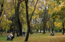 Защитники Севастопольского парка решили инициировать референдум