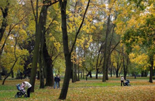 Защитники Севастопольского парка решили инициировать референдум