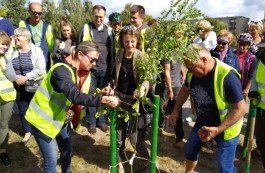 В Бресте белорусы и поляки посадили аллею велосипедистов