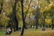 Судьба брестского парка Свободы под угрозой