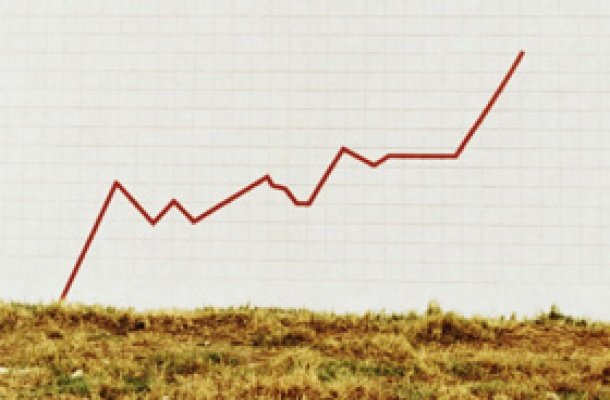 Записанные результаты избирательной кампании засвидетельствовали в Городокском районе большое единство власти и жителей