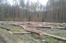 В Ганцовичском районе после обращения жителей началась проверка КГК