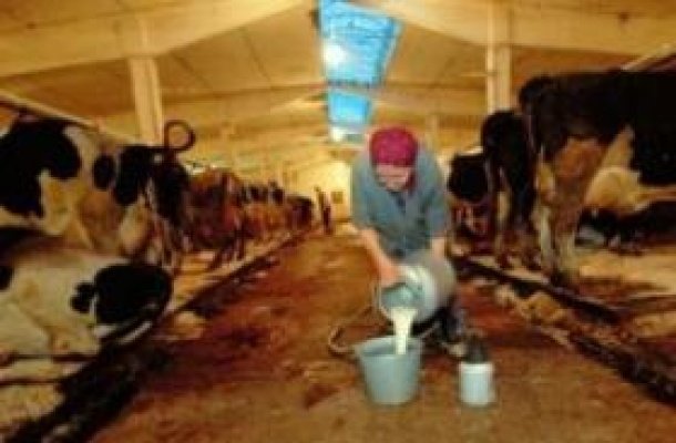 «Народный референдум» добрался до сельской местности