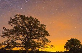 В окружении звезд с Виктором Малыщицом