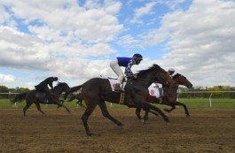 У Магілёве не было спартсменаў у «ДНР»: сябру Руху адказалі з аблвыканкаму