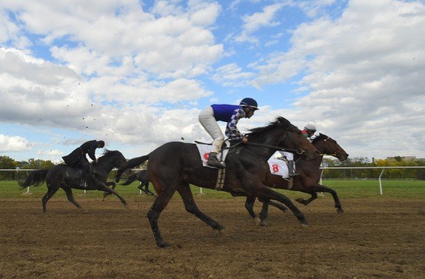 У Магілёве не было спартсменаў у «ДНР»: сябру Руху адказалі з аблвыканкаму