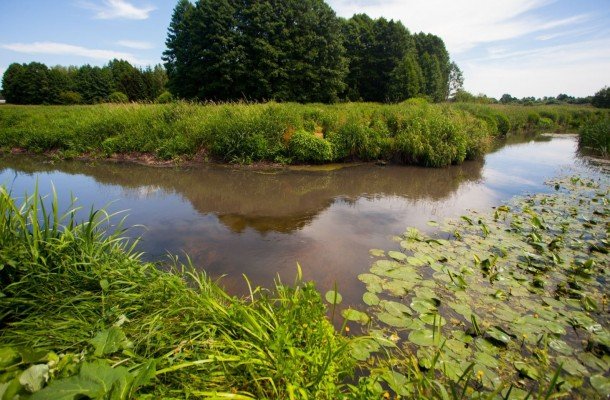 За загрязнение реки Дитва заведено административное дело