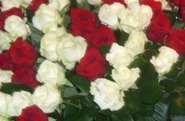 Рэдактару «Вольнага горада» — 50