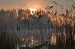 Экологическое ноу-хау: бомба для экологии Случи?
